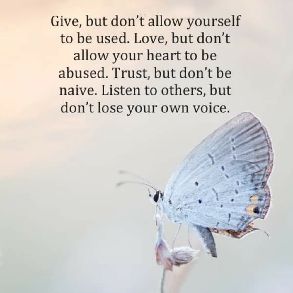 🦋🐾💜🐾🦋 - Picture 5 of 5
